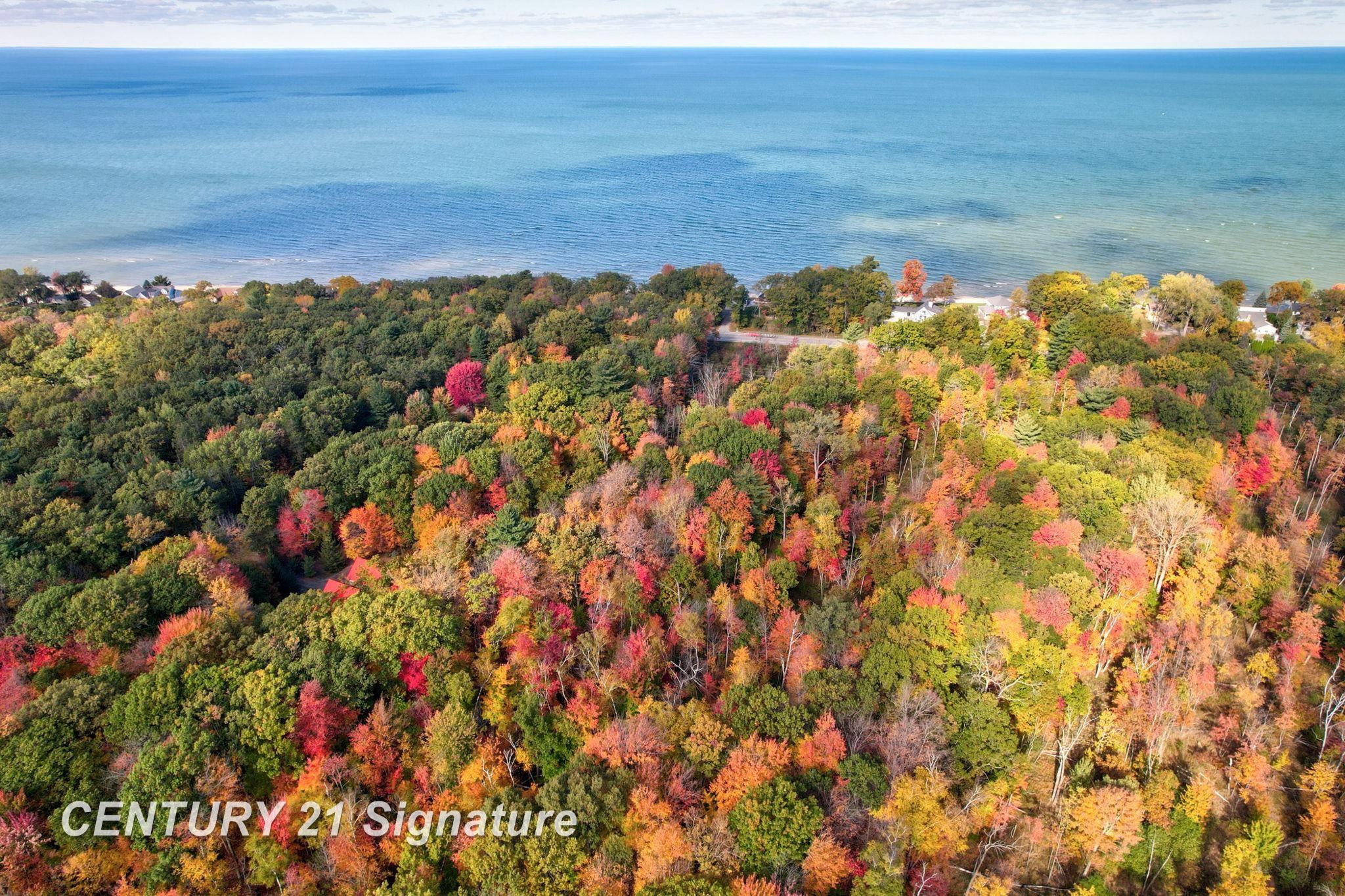 V/l Port Austin Road Caseville, MI 48725 - Photo 8 of 25