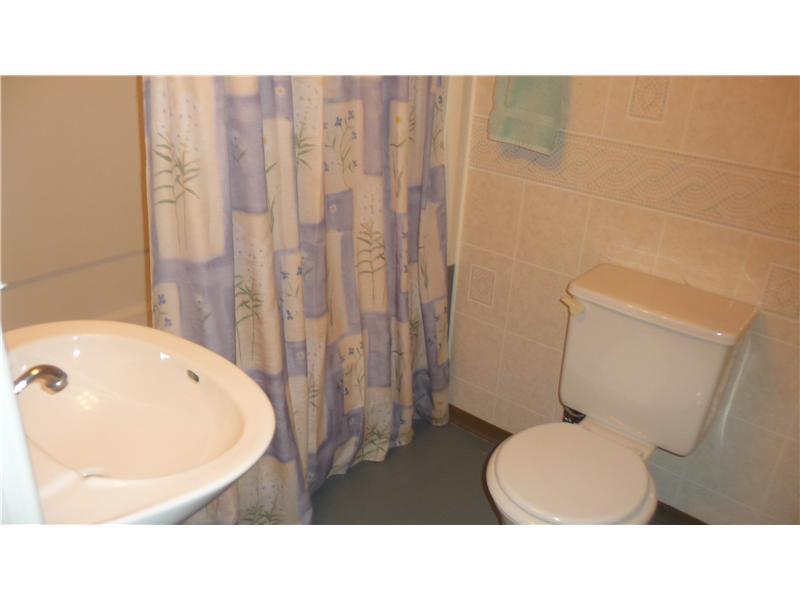 9 Riverside Court Blawnox, PA 15238 - Photo 11 of 20 Other. Full bath is in good shape and is located in lower level