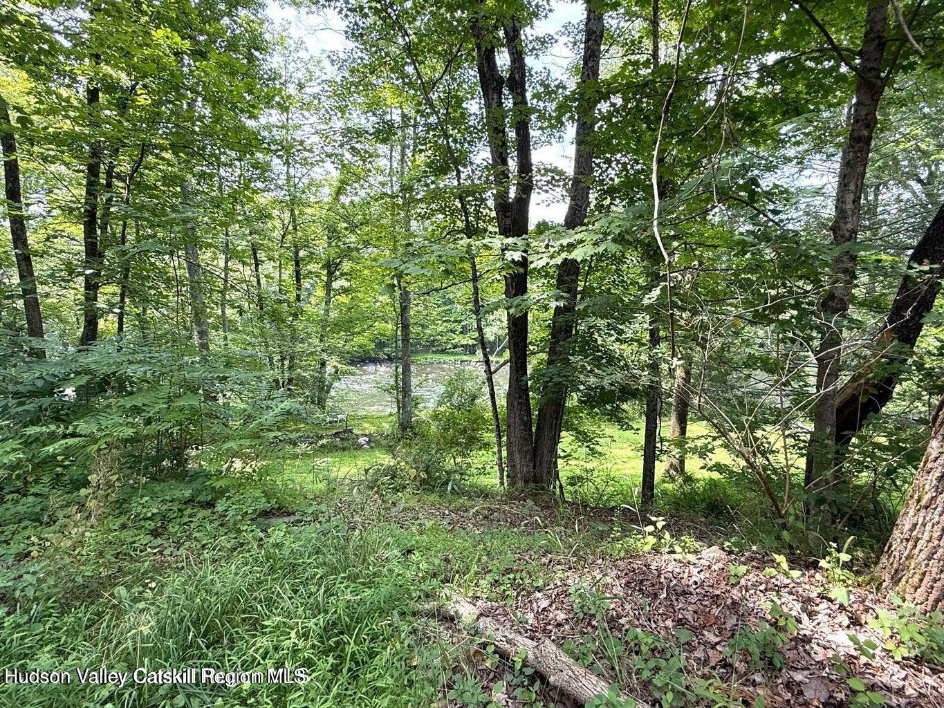 546 Berme Road High Falls, NY 12440 - Photo 46 of 47 berme rd 44