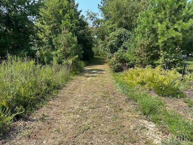2977 Salem Road Spout Spring, VA 24593 - Photo 1 of 34 a big yard with lots of green space and deers