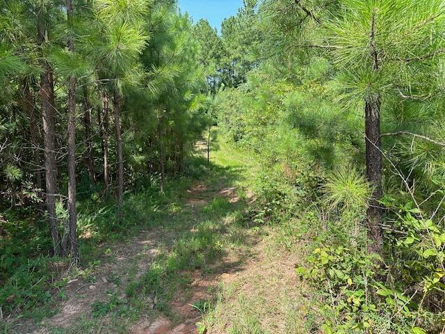 2977 Salem Road Spout Spring, VA 24593 - Photo 33 of 34 a view of a lush green forest