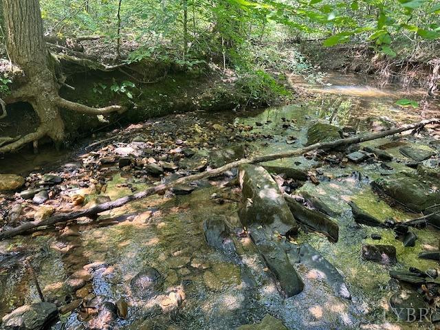 2977 Salem Road Spout Spring, VA 24593 - Photo 9 of 34 a view of a forest with a tree