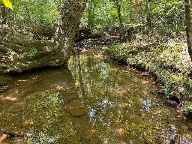 2977 Salem Road Spout Spring, VA 24593 - Photo 10 of 34 a view of a yard