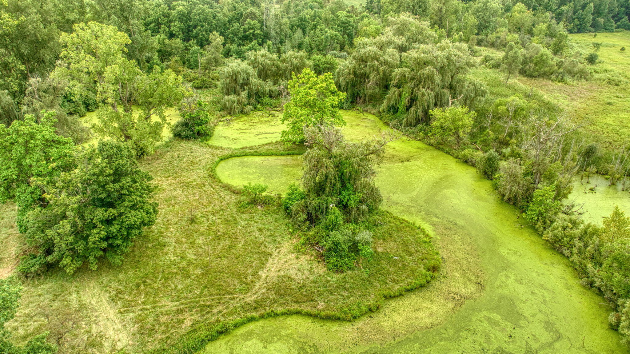 8563 McCain Road Parma, MI 49269 - Photo 55 of 59 58-web-or-mls-DJI_0396_HDR