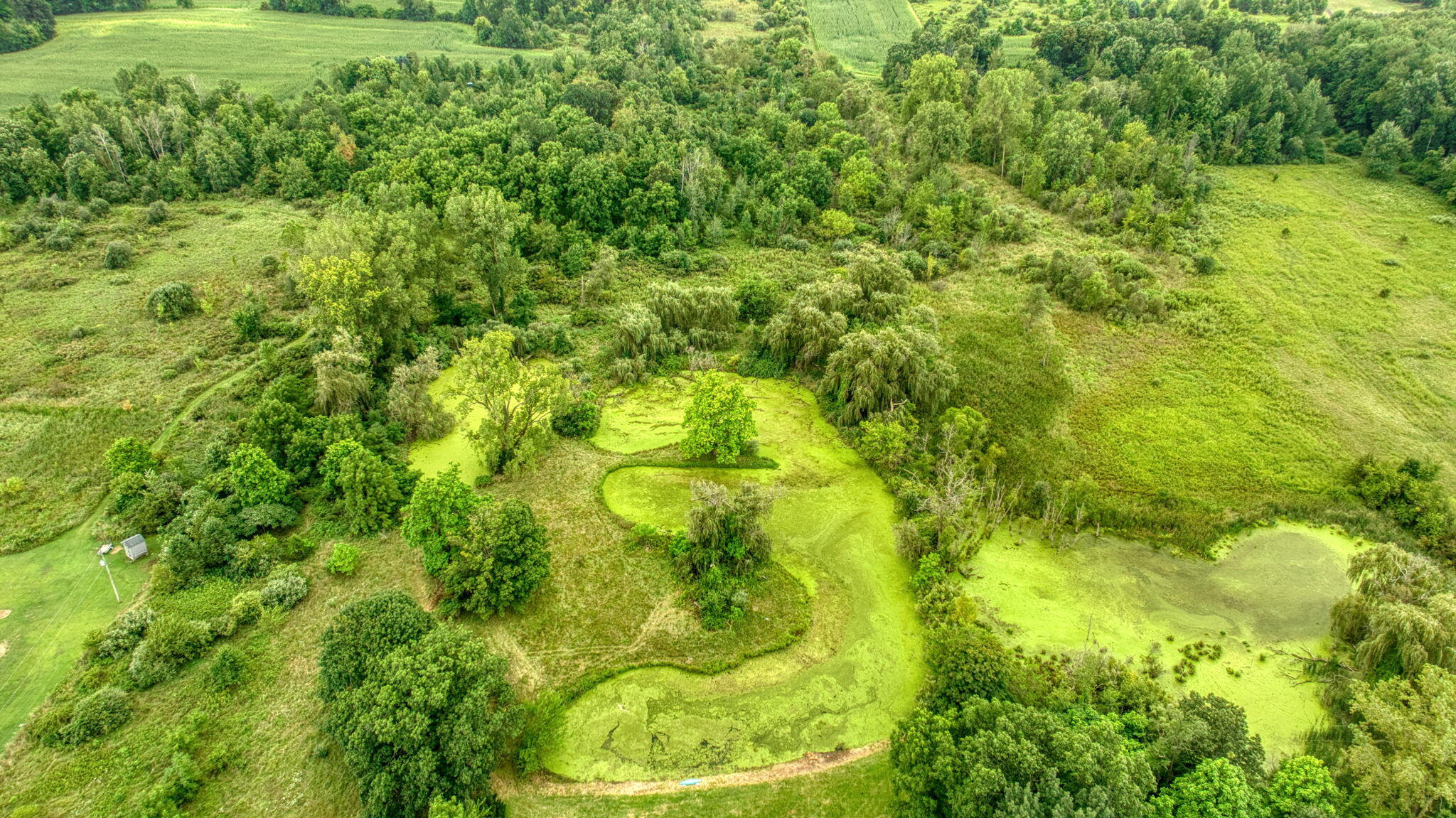 8563 McCain Road Parma, MI 49269 - Photo 56 of 59 59-web-or-mls-DJI_0399_HDR