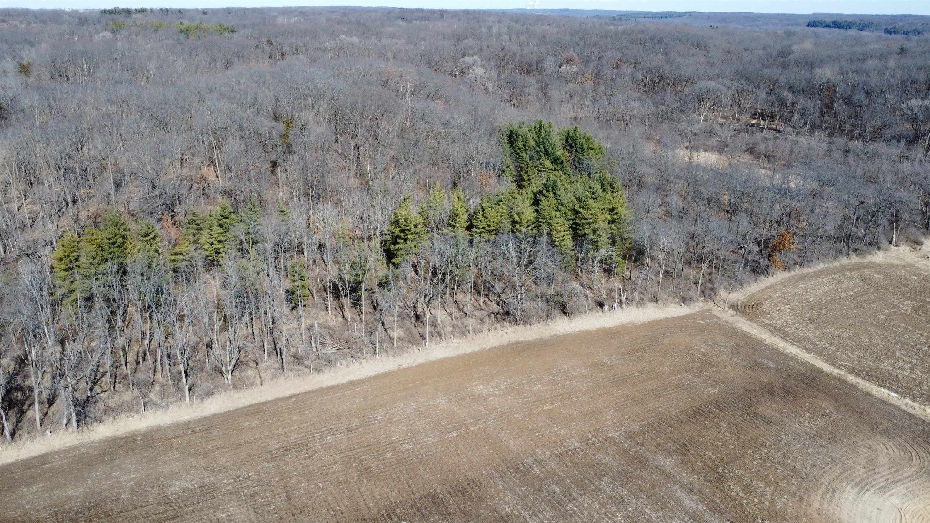 50 Ac /- West Penn Corner Road Oregon, IL 61061 - Photo 8 of 17