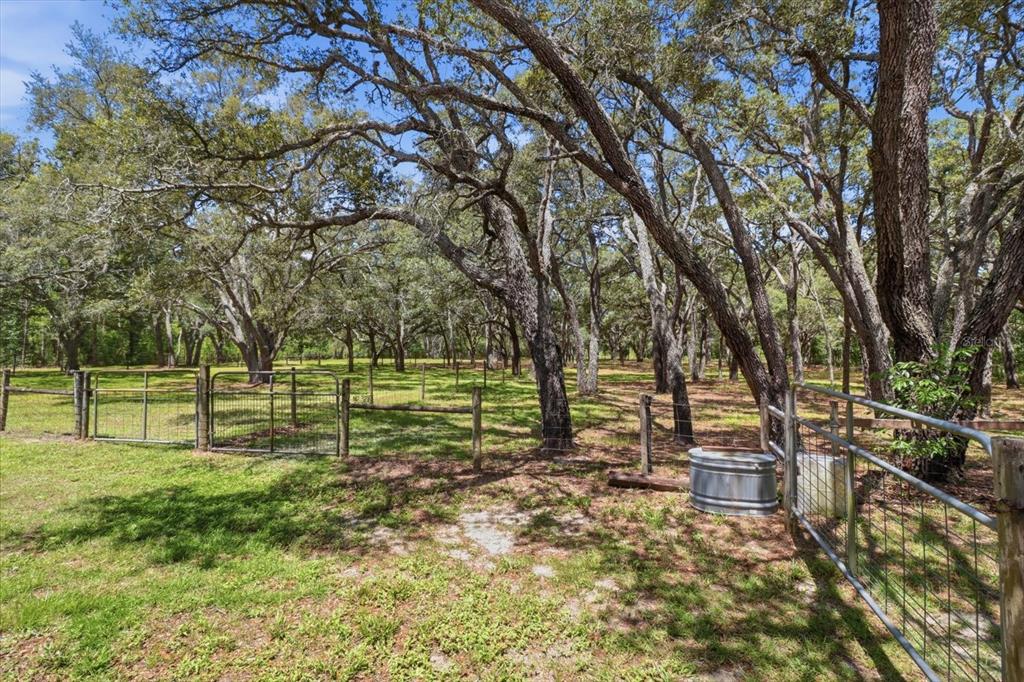 7298 South Rama Avenue Lecanto, FL 34461 - Photo 46 of 50
