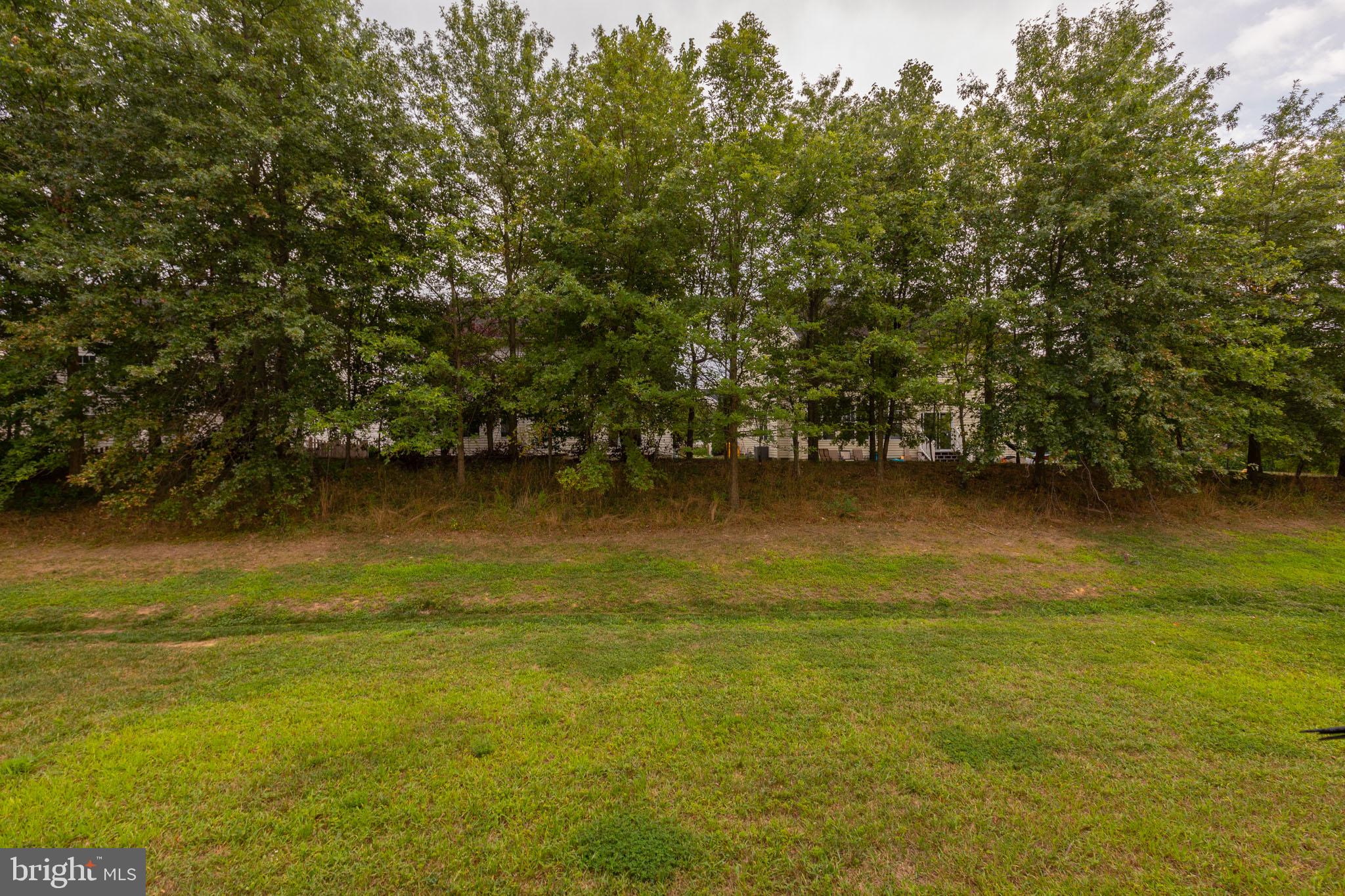 8105 Ridgely Loop Severn, MD 21144 - Photo 52 of 53 Back Yard