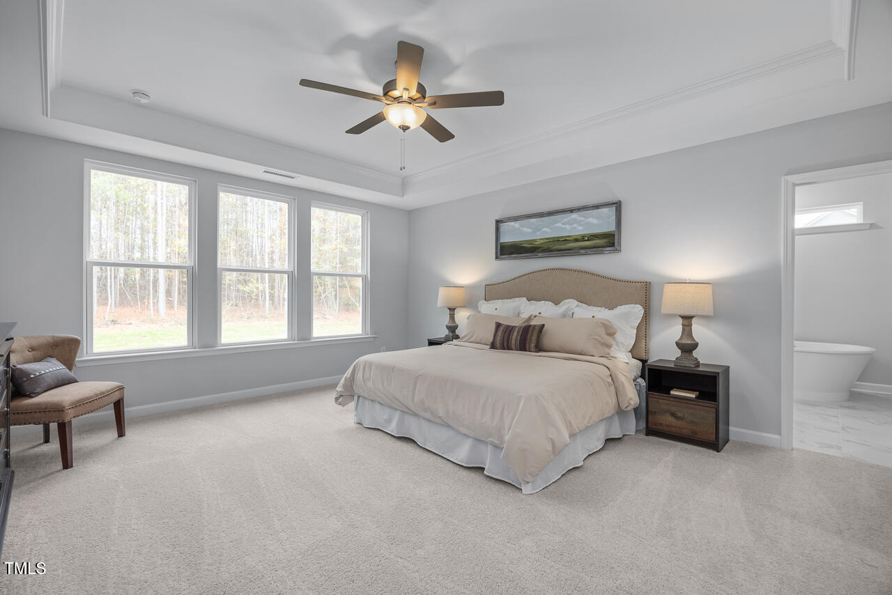 197 Looping Court Angier, NC 27501 - Photo 22 of 36 1st Floor Owners' suite