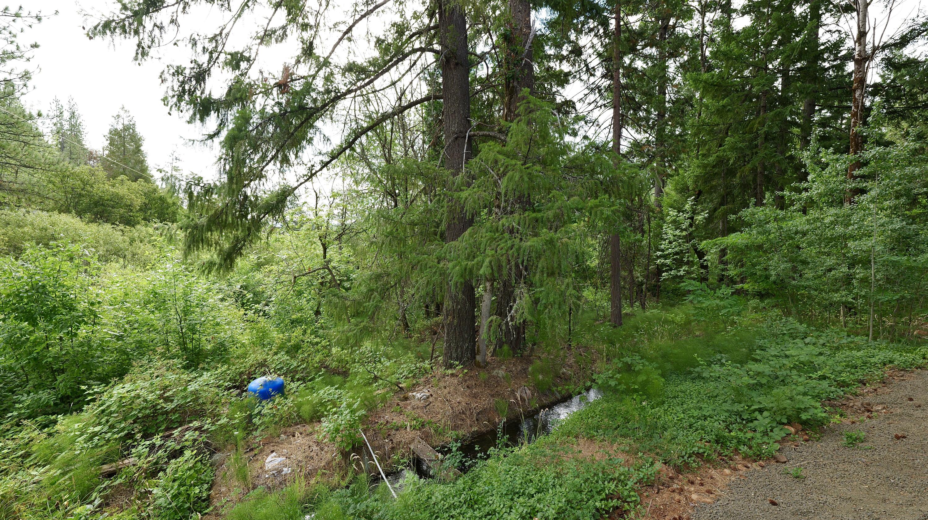 769 Mather Road Prospect, OR 97536 - Photo 38 of 70 Nye Ditch
