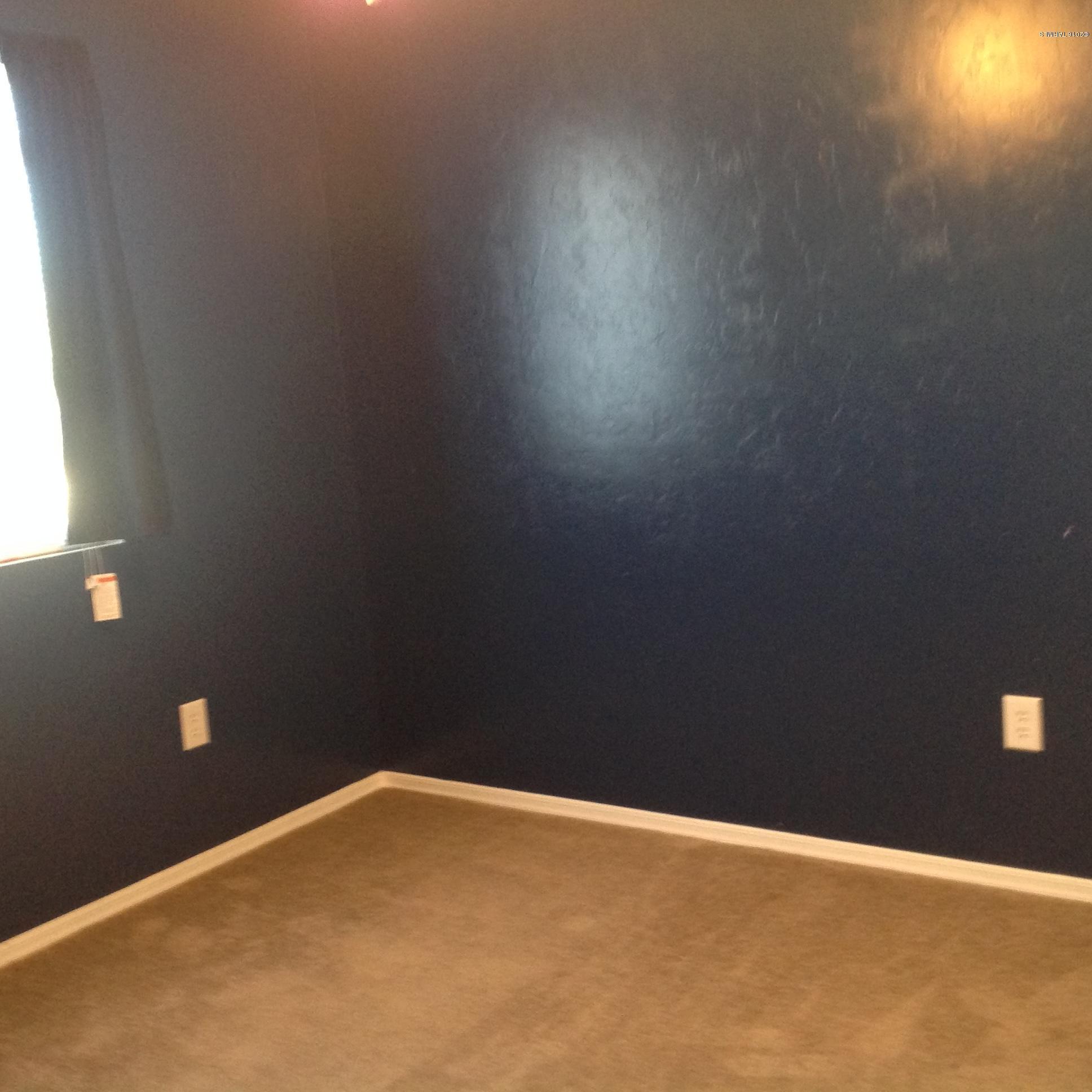 8345 West Razorbill Drive Tucson, AZ 85757 - Photo 14 of 17