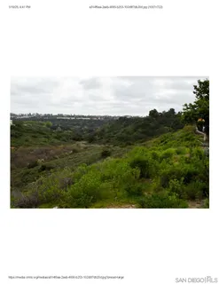 a view of a field with an ocean and trees