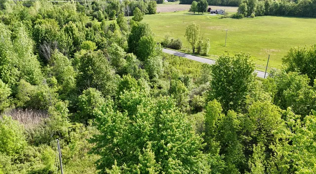 $175,000 | 13027 Shaner Avenue Northeast, Cedar Springs, MI 49319