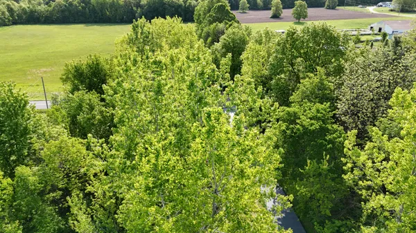 $175,000 | 13027 Shaner Avenue Northeast, Cedar Springs, MI 49319