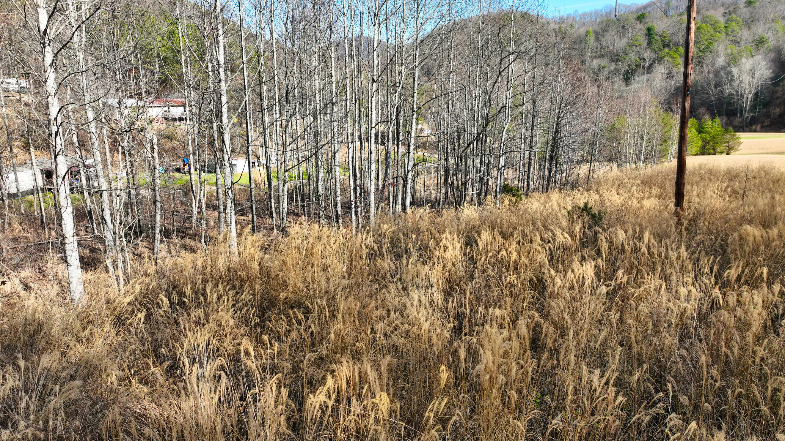 0 South S Highway Cosby, TN 37722 - Photo 10 of 12 DJI_0031