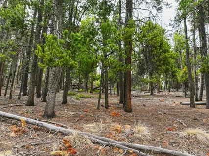 $900,000 | 0 Sinton Road, Evergreen, CO 80439