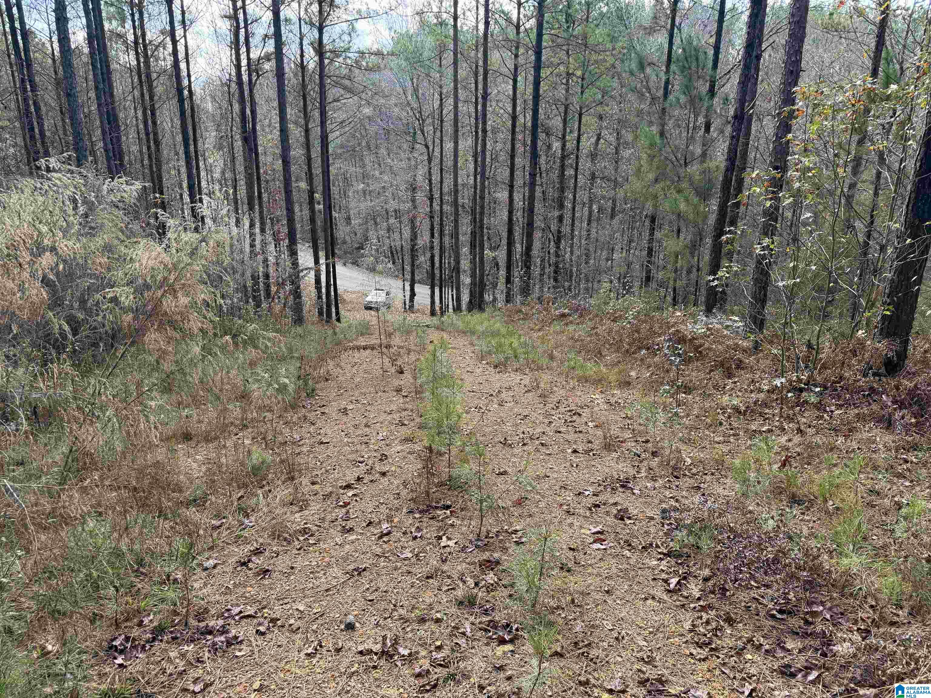 680 Sweet Apple Road, Unit 1 Pell City, AL 35128 - Photo 7 of 7