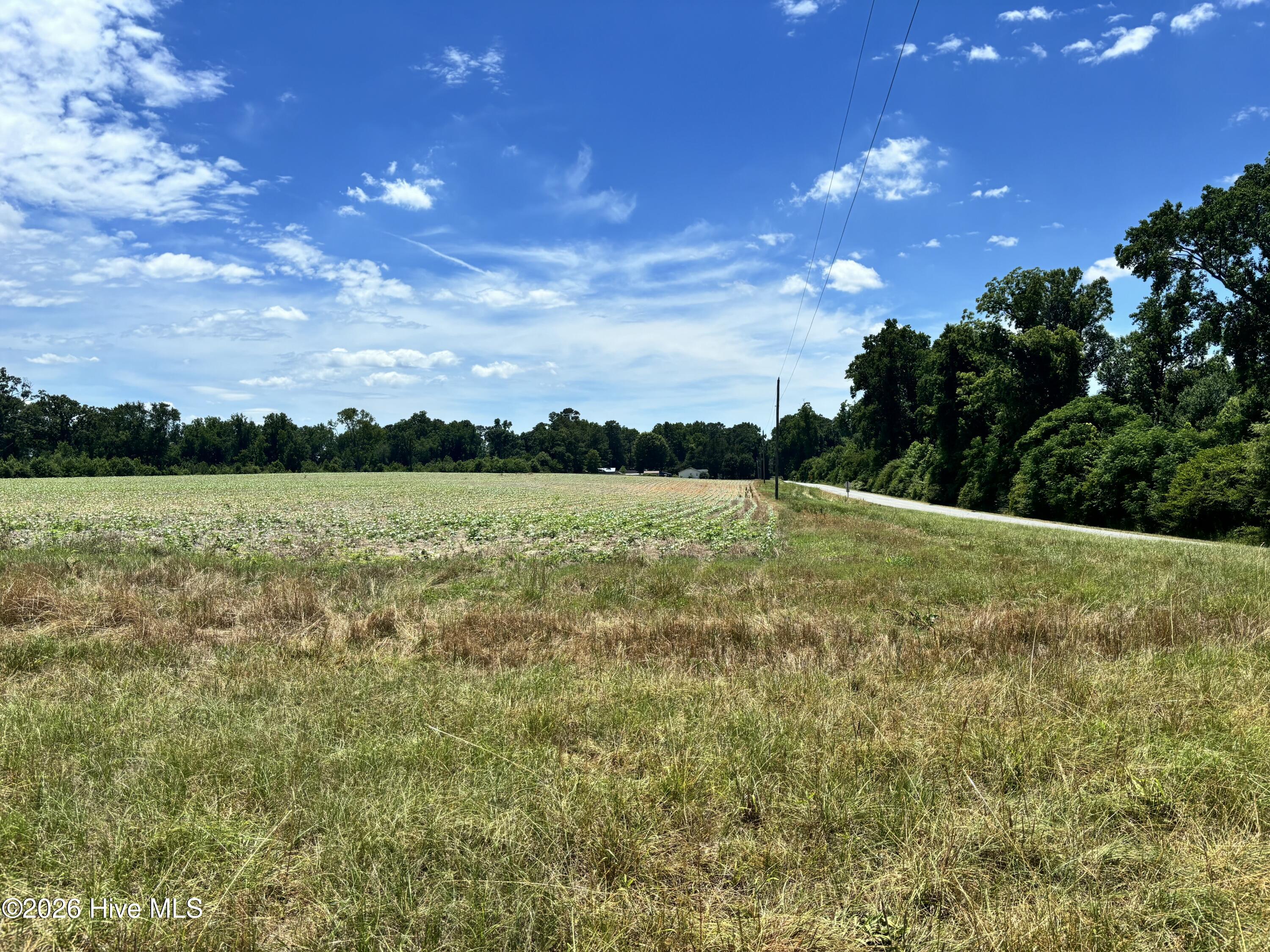 0 Rabbit Hollow Road Snow Hill, NC 28580 - Photo 3 of 16