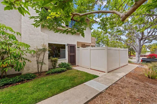 a view of a backyard with large tree