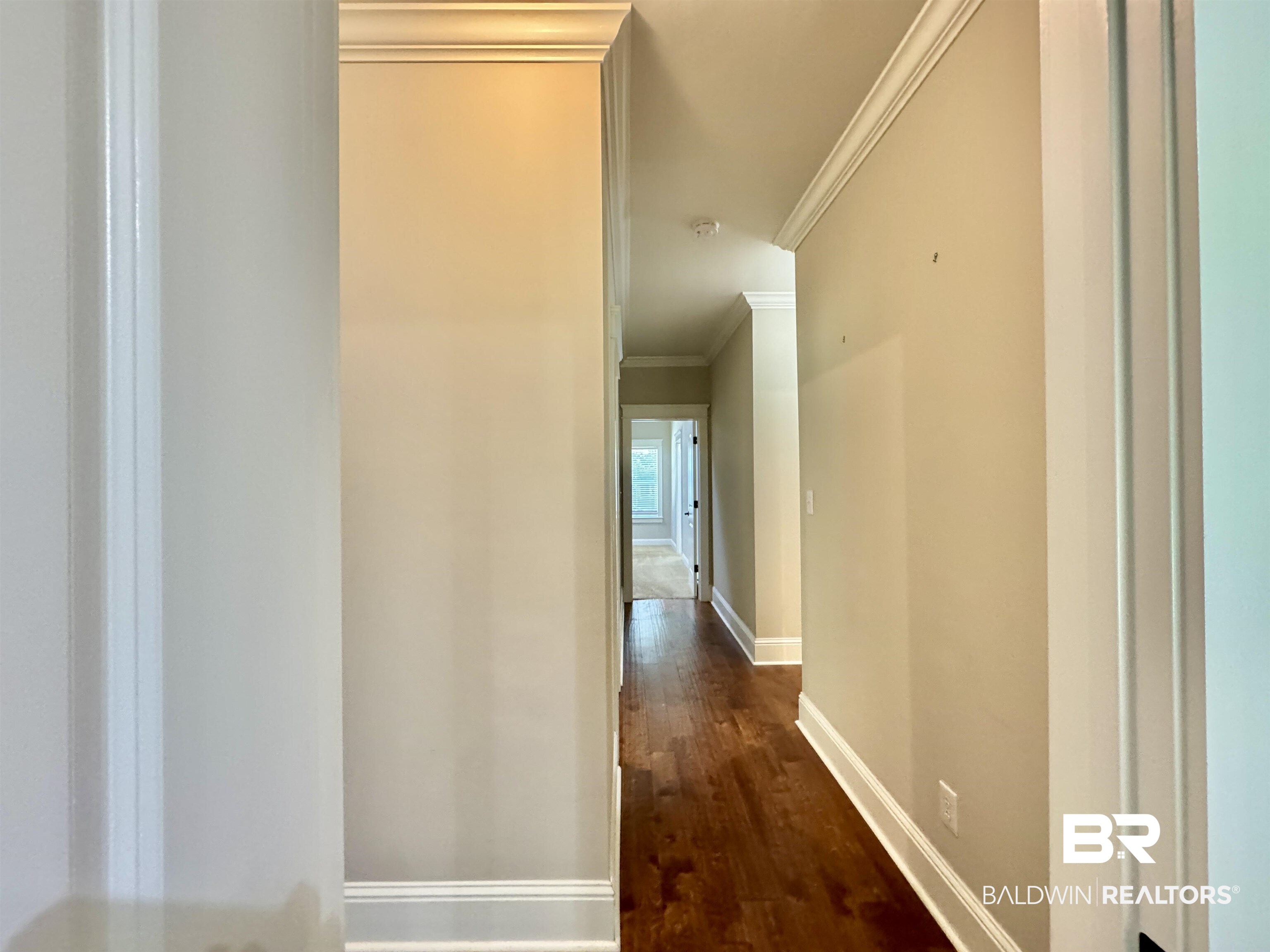 10846 County Road 138 Bay Minette, AL 36507 - Photo 5 of 53 Hallway with crown molding and dark wood-type flooring