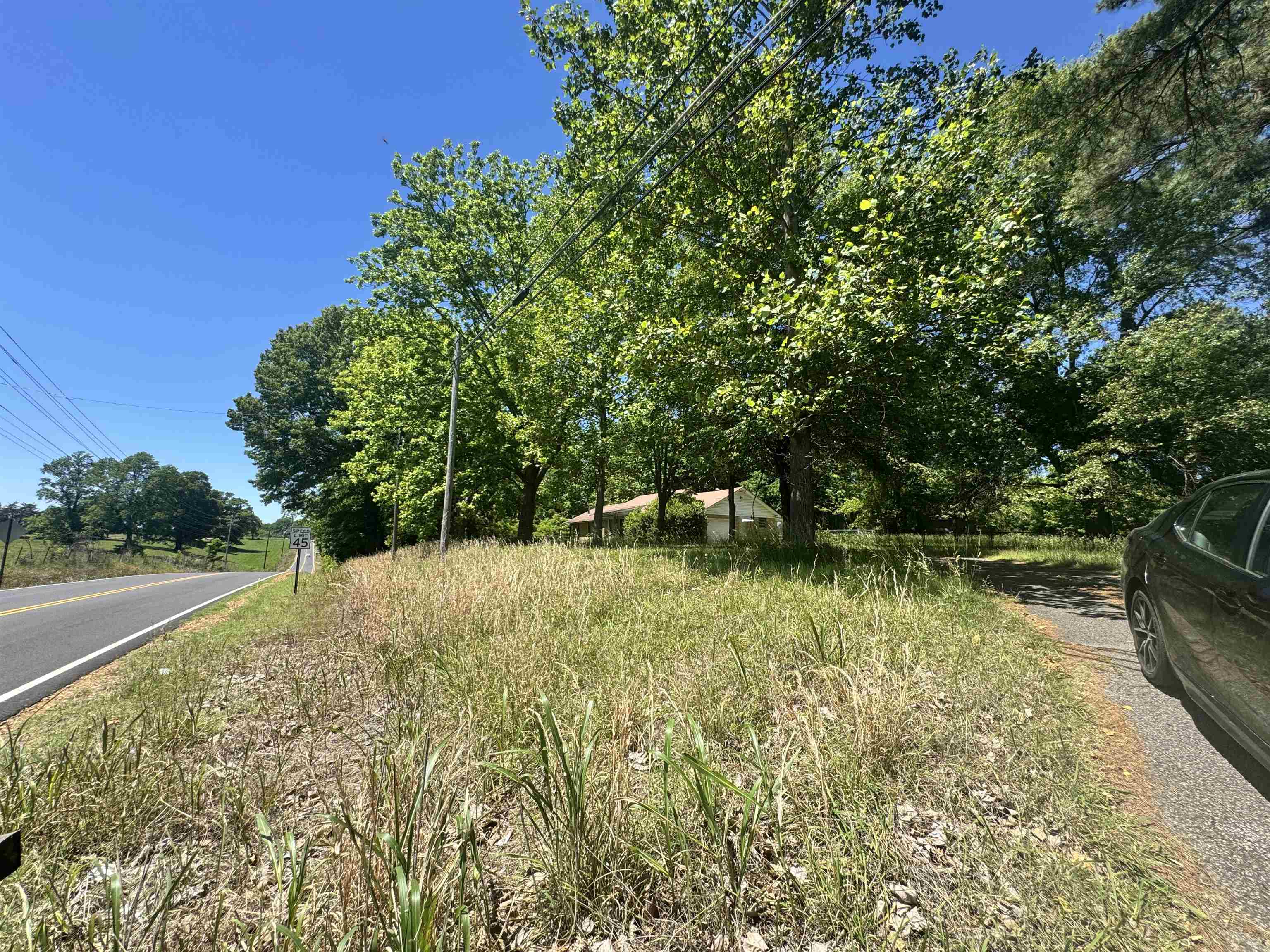 4712 Drummonds Road Drummonds, TN 38023 - Photo 36 of 38 Expansive lot with mature trees and a paved driveway