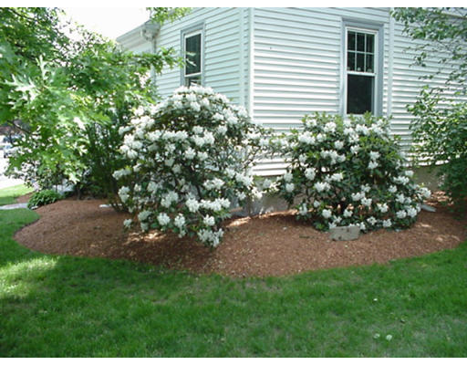 26 Marion Road, Unit B Watertown, MA 02472 - Photo 6 of 10 a view of a house with a backyard