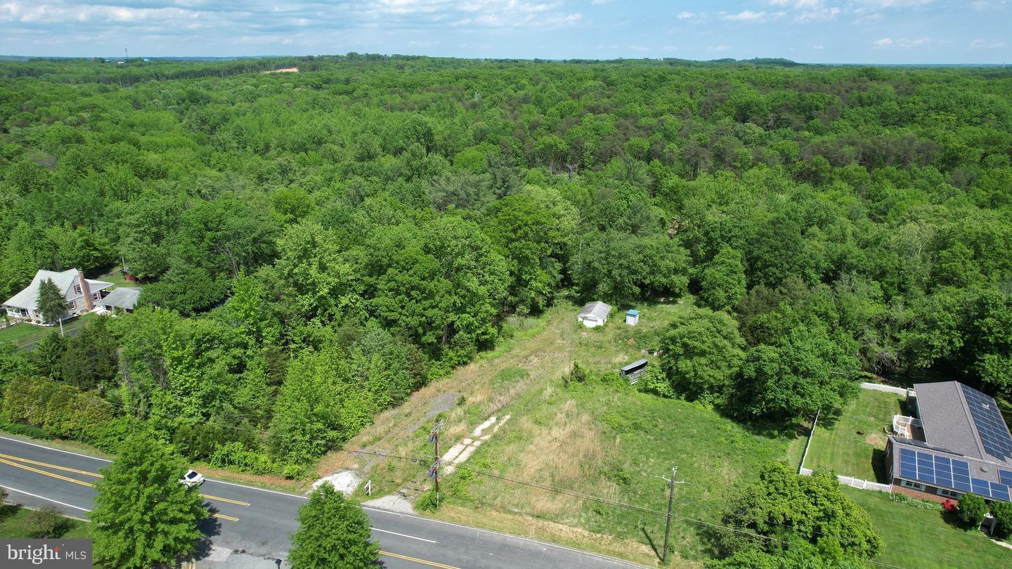 624 Trimble Road Joppa, MD 21085 - Photo 6 of 7 a view of a yard with plants and large trees