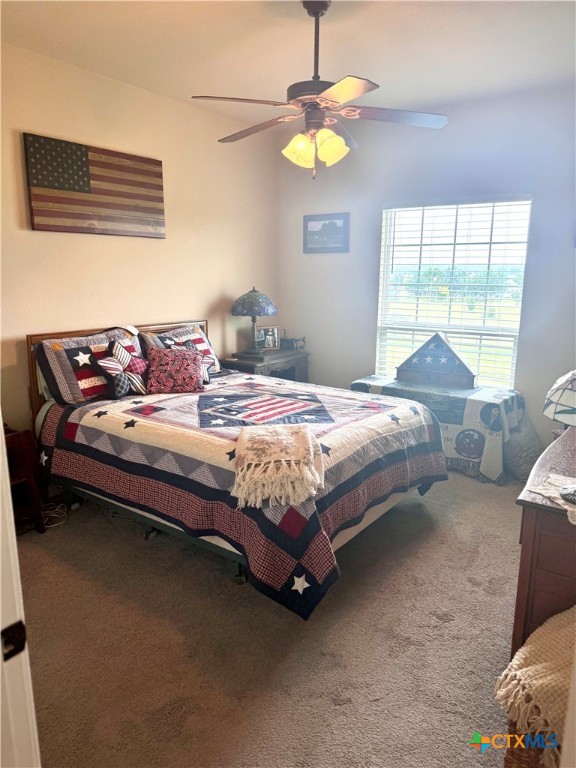 187 Tracks Trail Center Point, TX 78010 - Photo 30 of 41 a bedroom with a bed chandelier and window