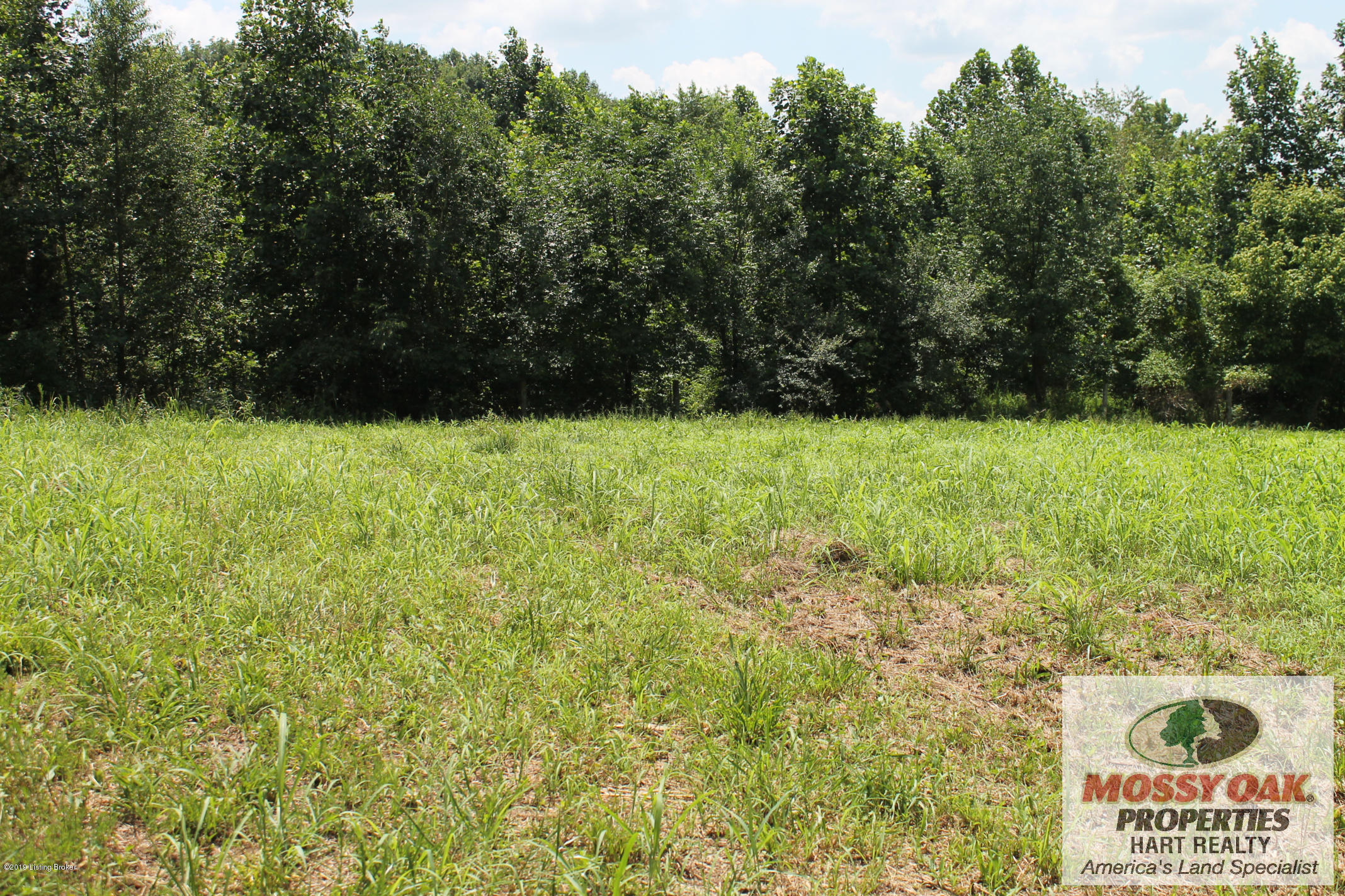 1000 Figett Bend Road Canmer, KY 42722 - Photo 3 of 61 IMG_2284