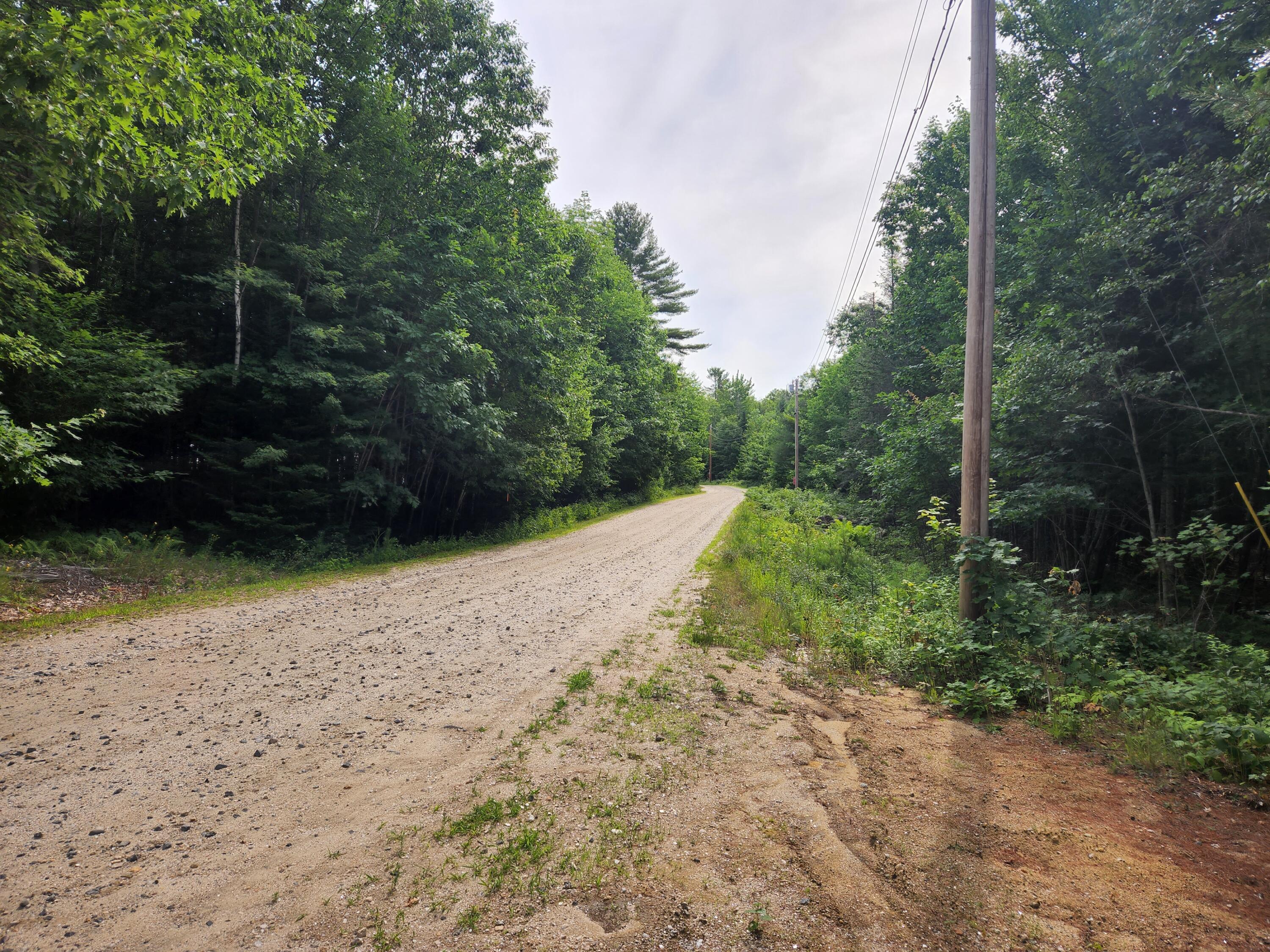 0 Old Sumner & Willy's Way Road Buckfield, ME 04220 - Photo 3 of 12 20220716_093103