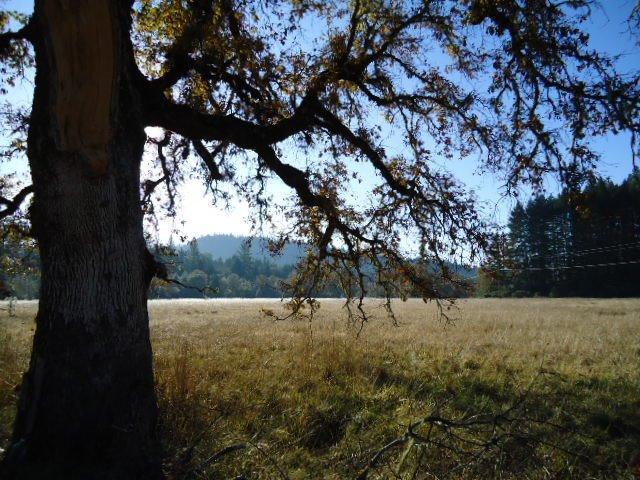 1425 Draper Valley Road Selma, OR 97538 - Photo 1 of 11 Primary Photo