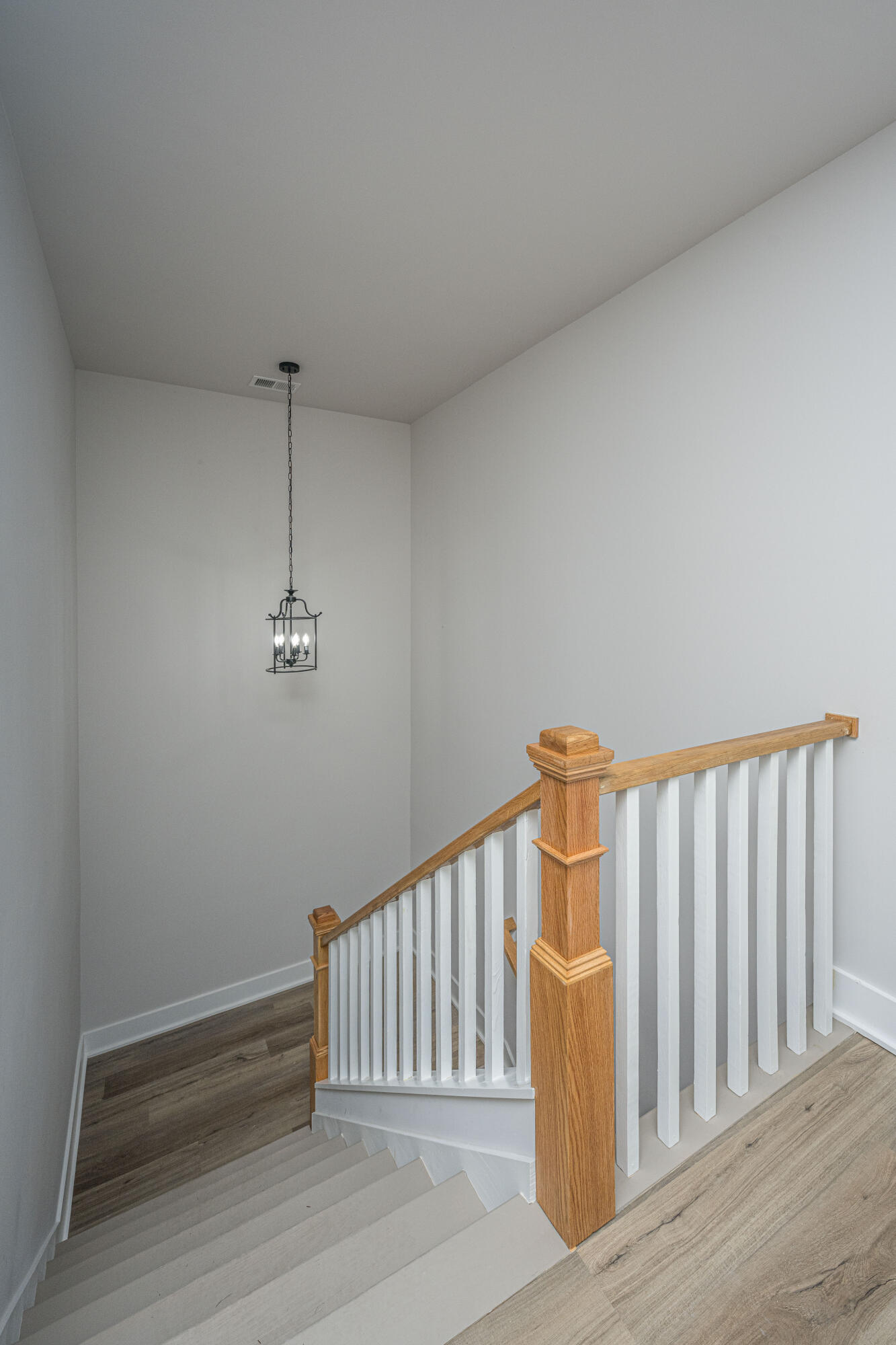 977 Bellas Lane Awendaw, SC 29429 - Photo 34 of 87 977BellasLn041