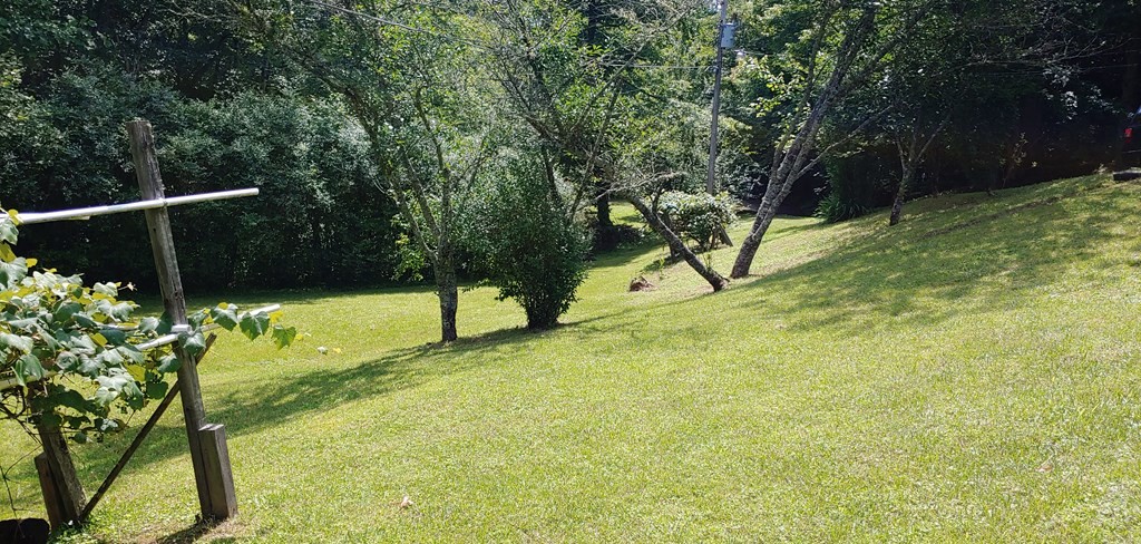 163 Calvender Road Turtletown, TN 37391 - Photo 11 of 31 Gallery Image 11