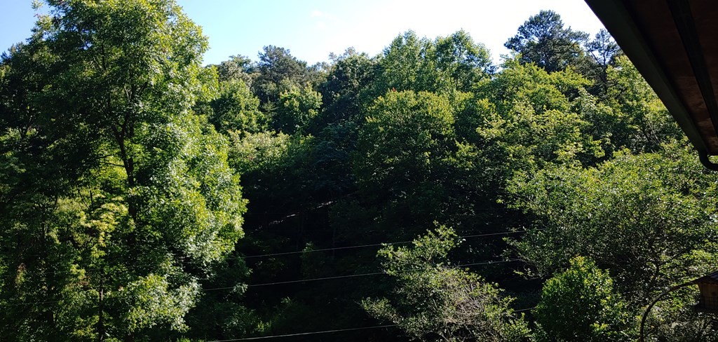 163 Calvender Road Turtletown, TN 37391 - Photo 28 of 31 Gallery Image 28