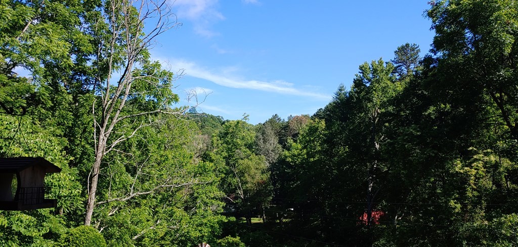 163 Calvender Road Turtletown, TN 37391 - Photo 31 of 31 Gallery Image 31