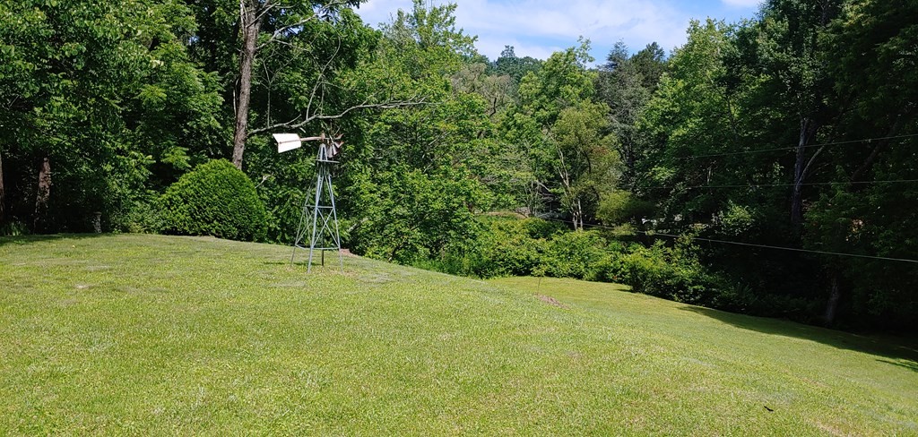 163 Calvender Road Turtletown, TN 37391 - Photo 6 of 31 Gallery Image 6