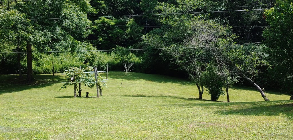 163 Calvender Road Turtletown, TN 37391 - Photo 7 of 31 Gallery Image 7