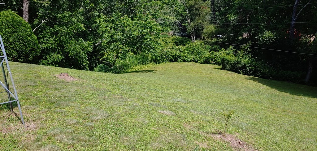 163 Calvender Road Turtletown, TN 37391 - Photo 8 of 31 Gallery Image 8