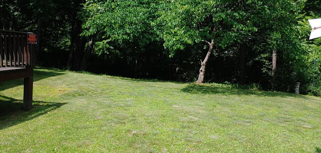163 Calvender Road Turtletown, TN 37391 - Photo 9 of 31 Gallery Image 9