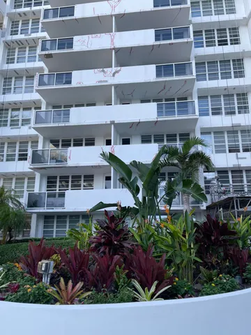 a view of a garden with palm trees