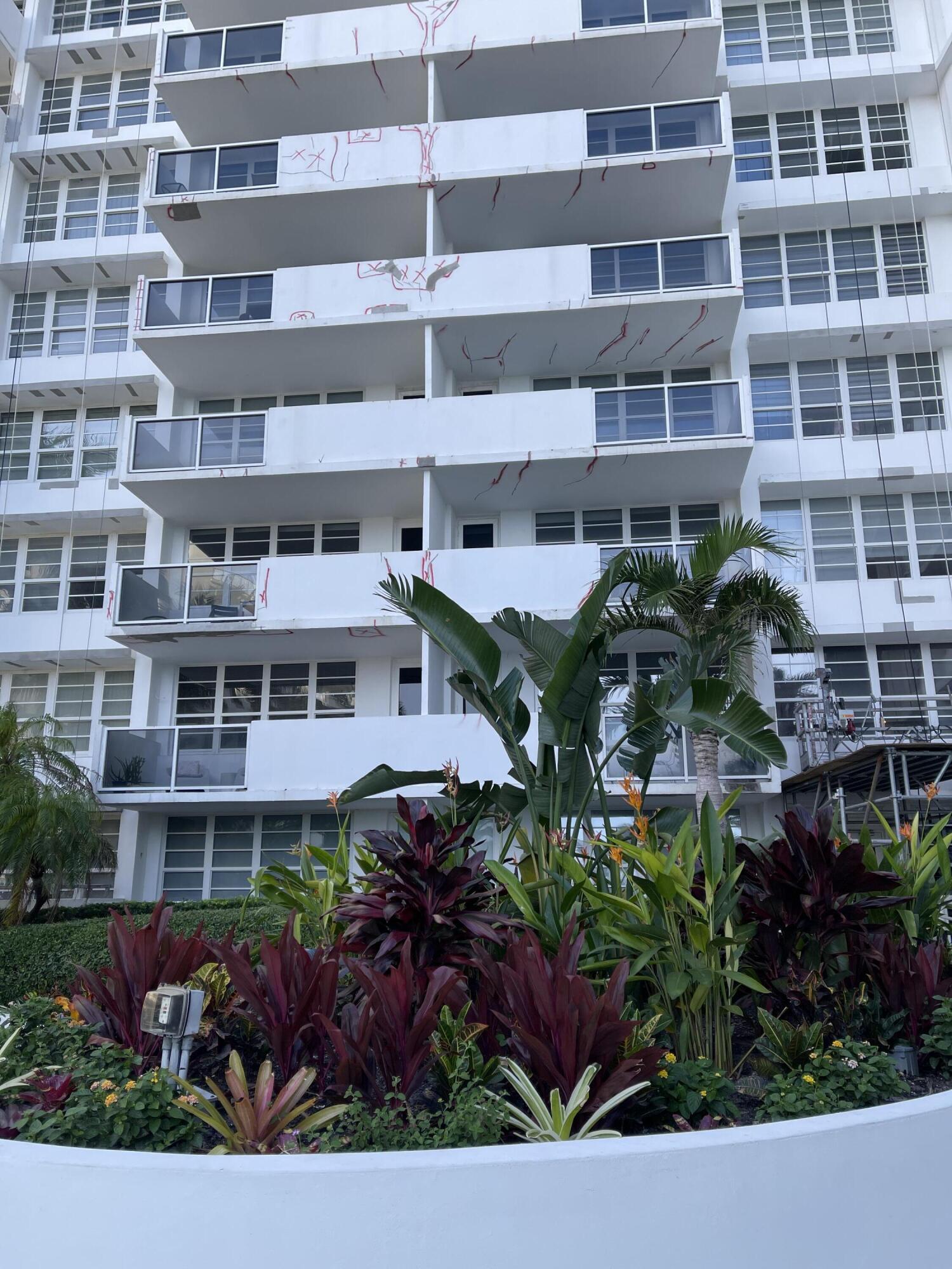 100 Lincoln Road, Unit 1105 Miami Beach, FL 33139 - Photo 14 of 30 a view of a with a bunch of flower plants
