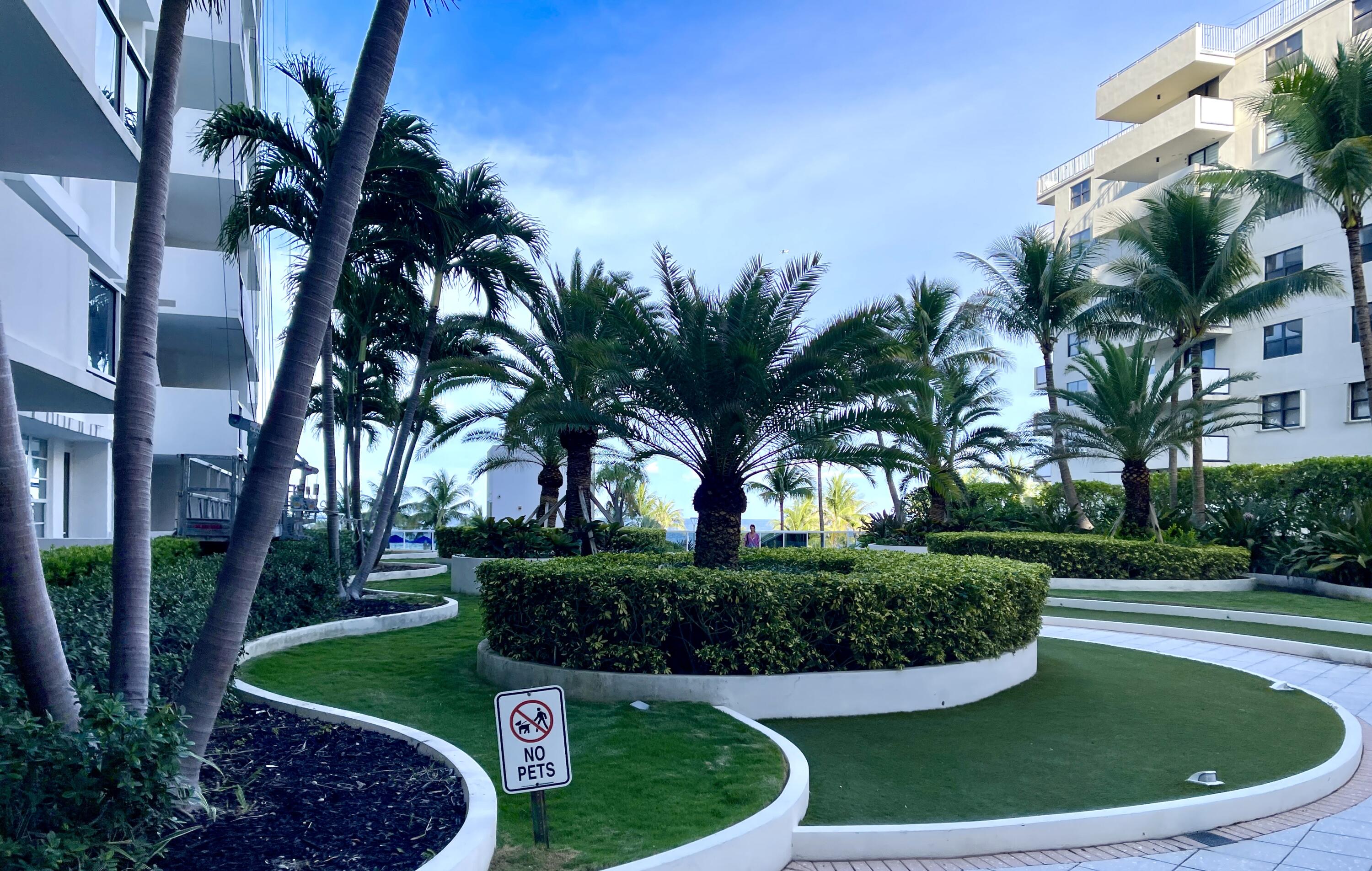 100 Lincoln Road, Unit 1105 Miami Beach, FL 33139 - Photo 15 of 30 a view of a garden with palm trees