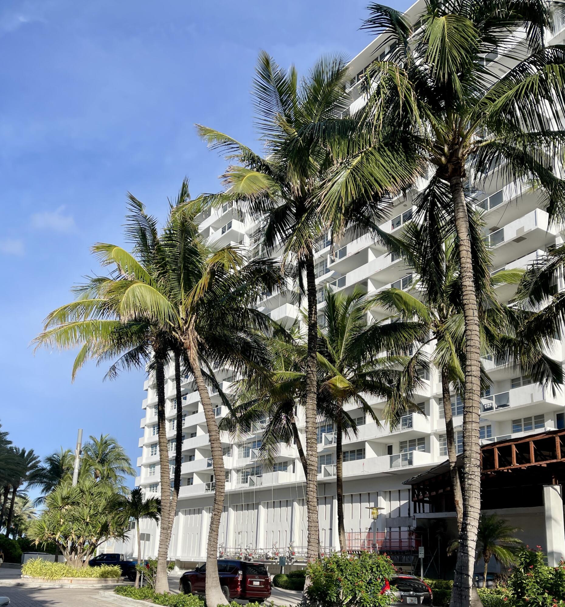 100 Lincoln Road, Unit 1105 Miami Beach, FL 33139 - Photo 3 of 30 a plant in front of a building