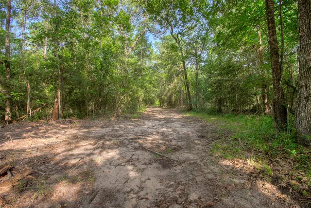 a view of outdoor space with trees