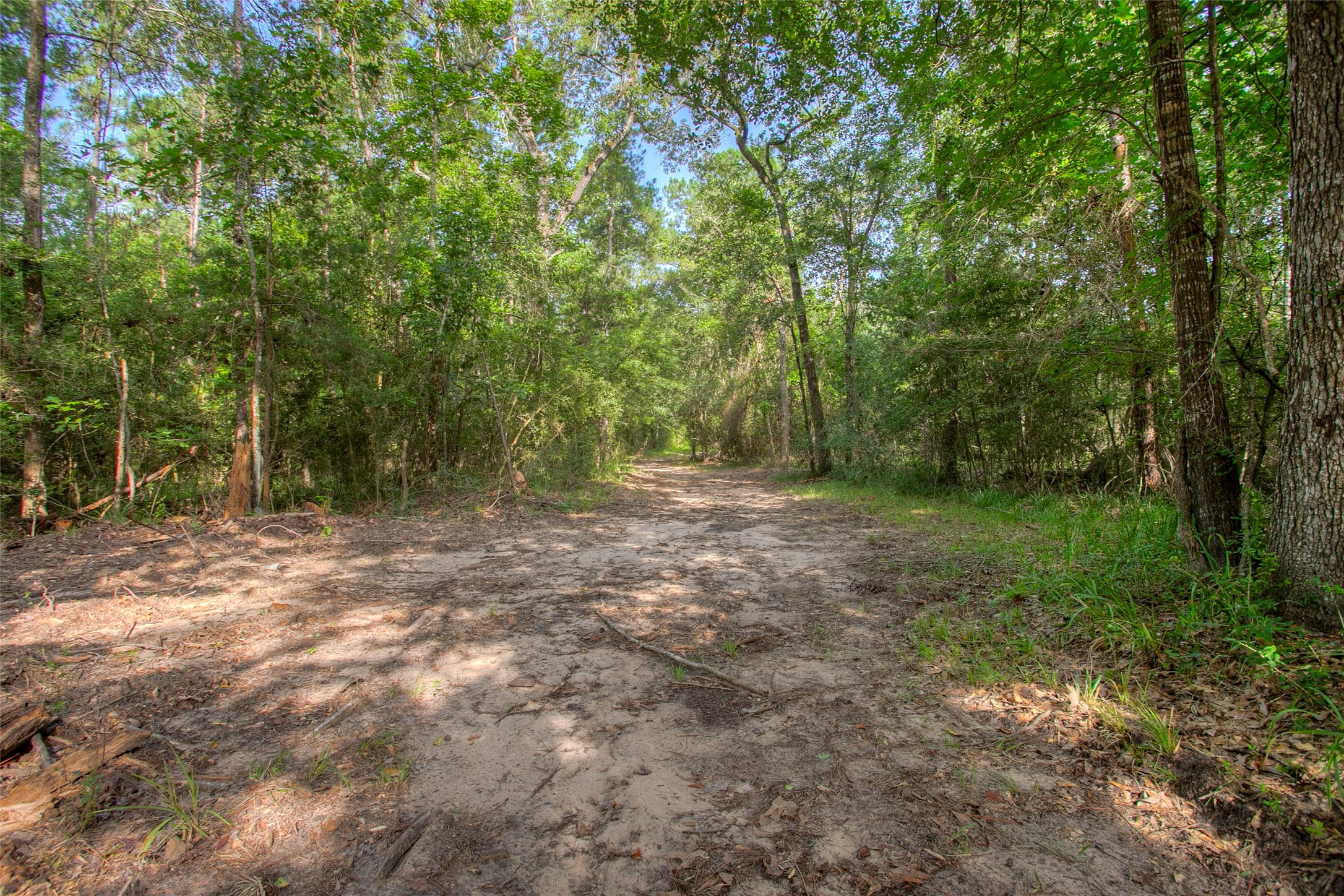 Tbd Dahlia Road Huntsville, TX 77320 - Photo 11 of 20