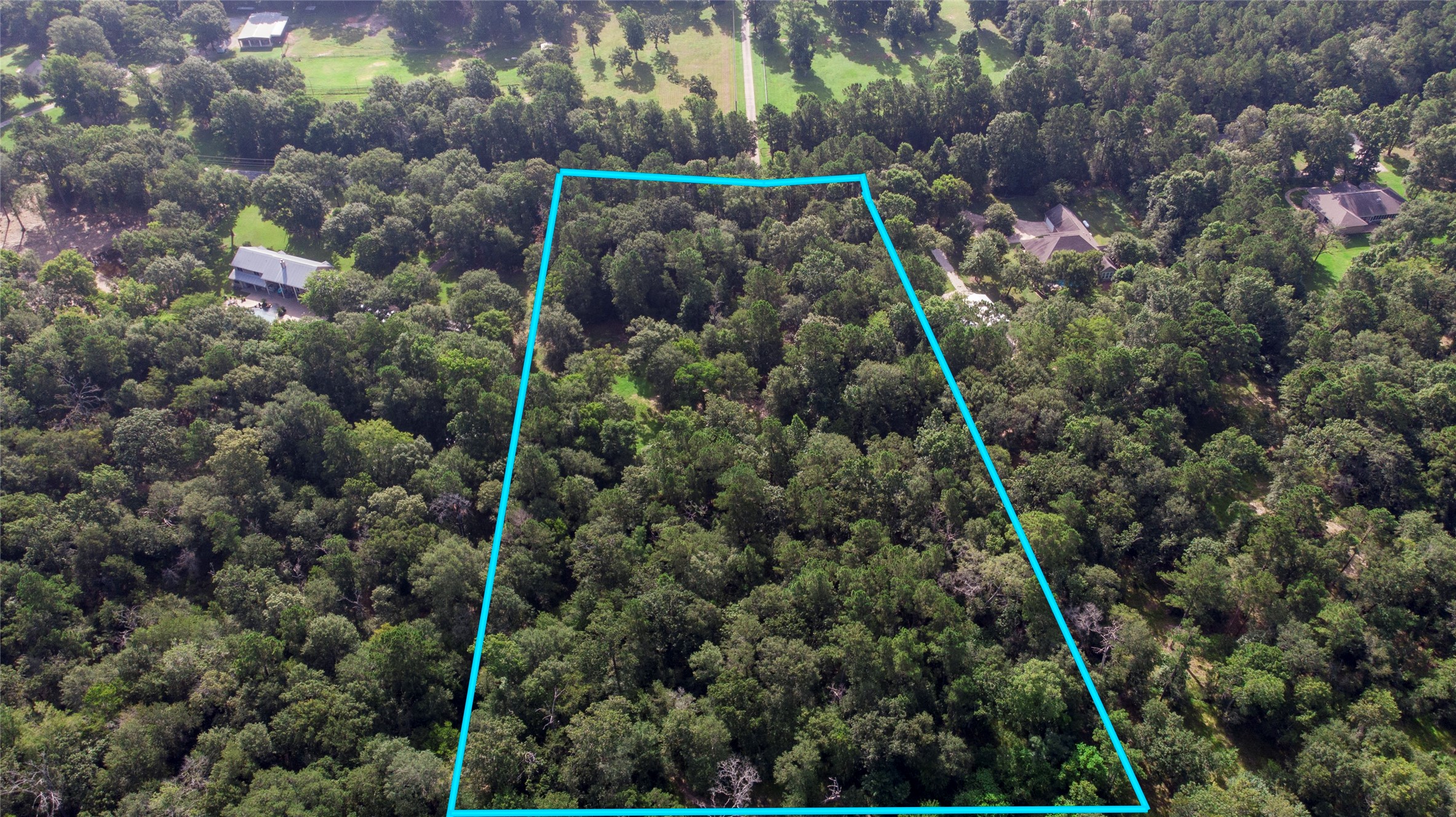 Tbd Dahlia Road Huntsville, TX 77320 - Photo 14 of 20