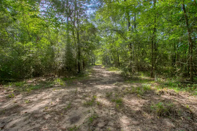 a view of outdoor space and trees