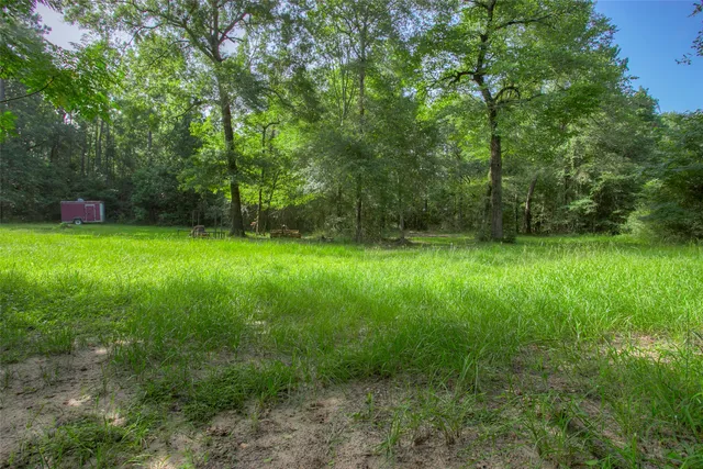 a view of yard with green space