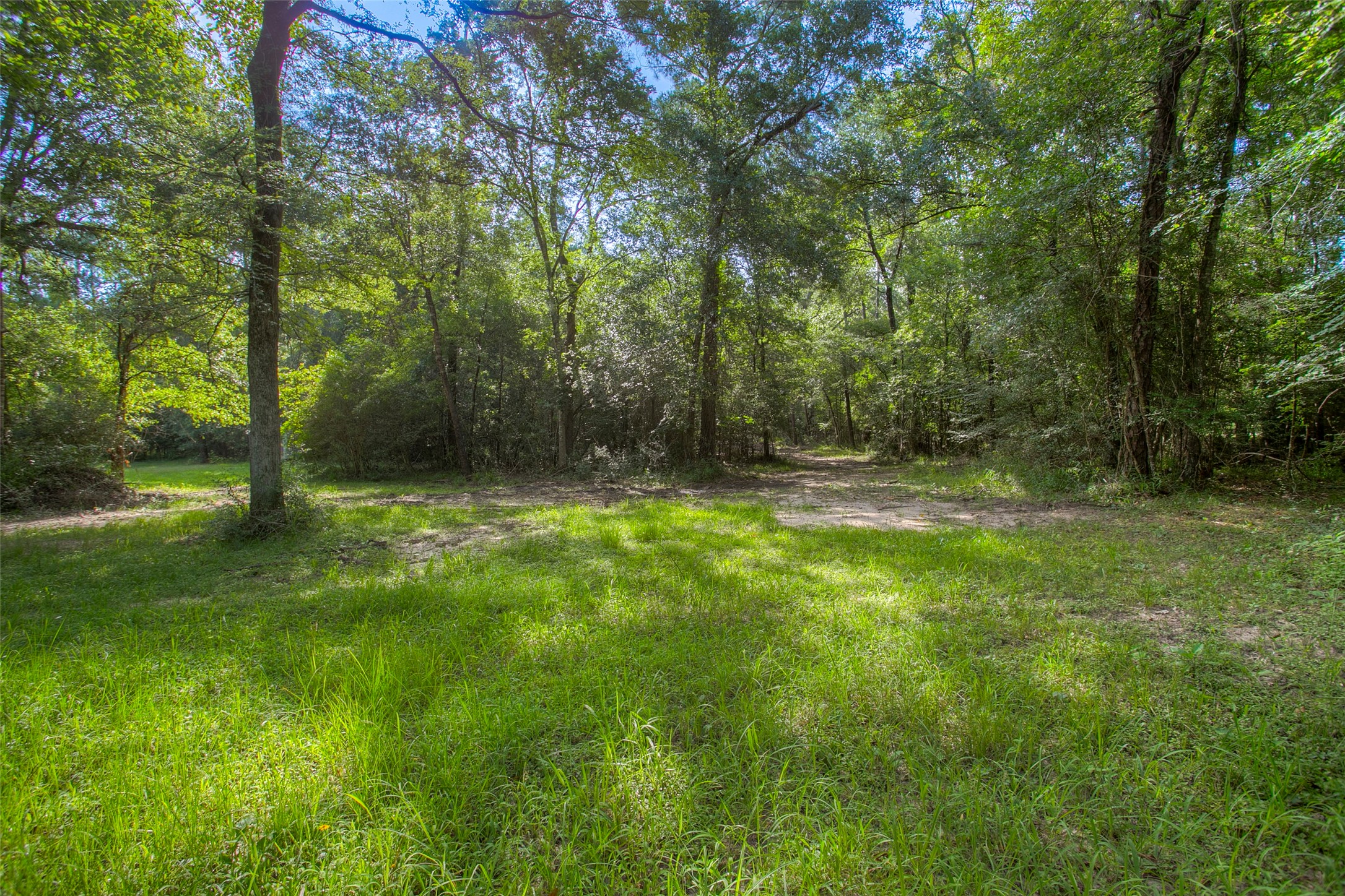 Tbd Dahlia Road Huntsville, TX 77320 - Photo 4 of 20