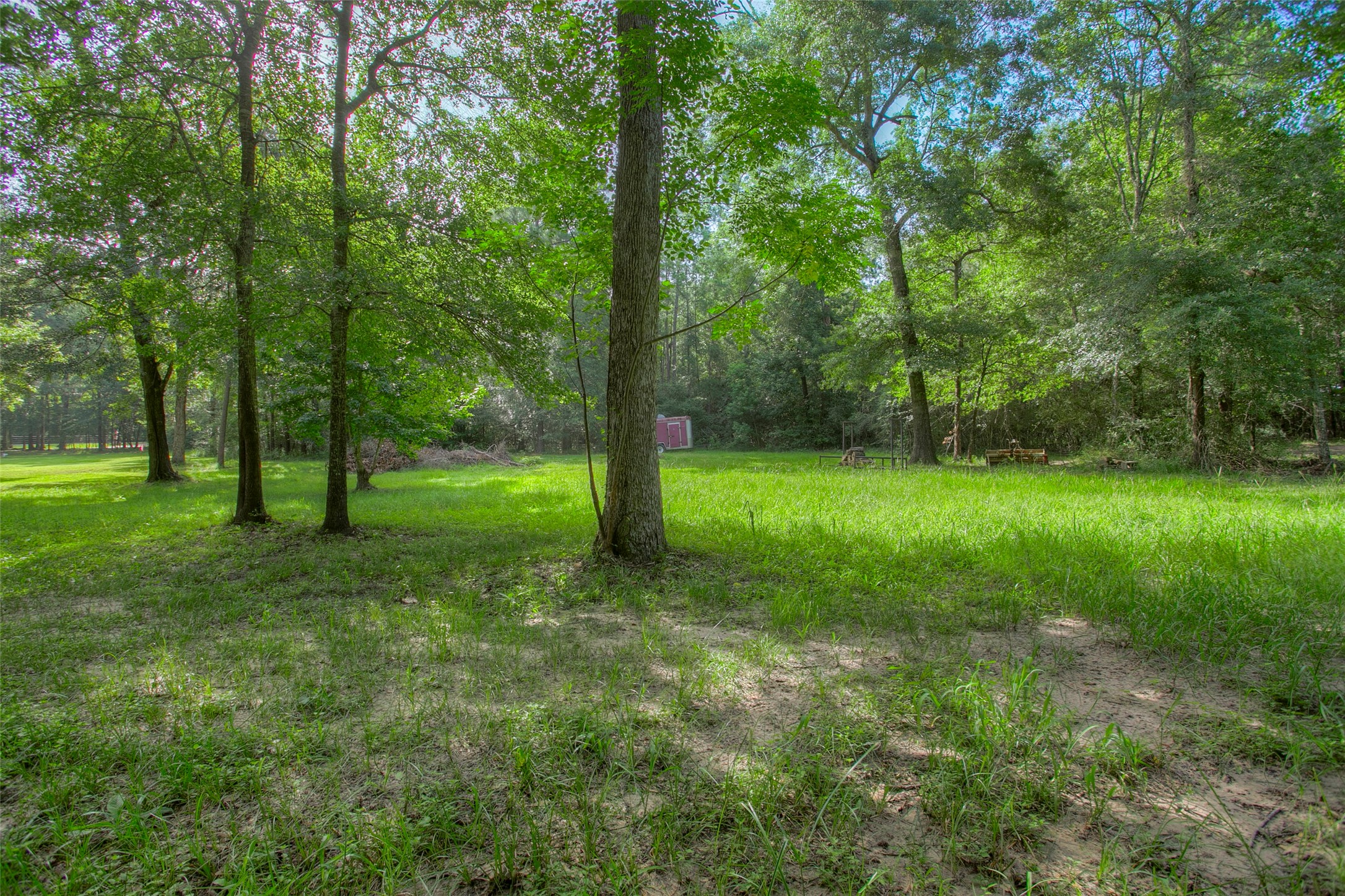 Tbd Dahlia Road Huntsville, TX 77320 - Photo 5 of 20